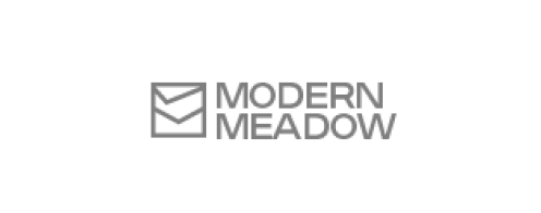 modern meadow