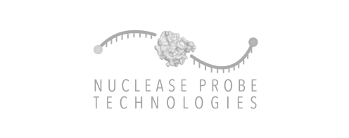 nuclease probe technologies